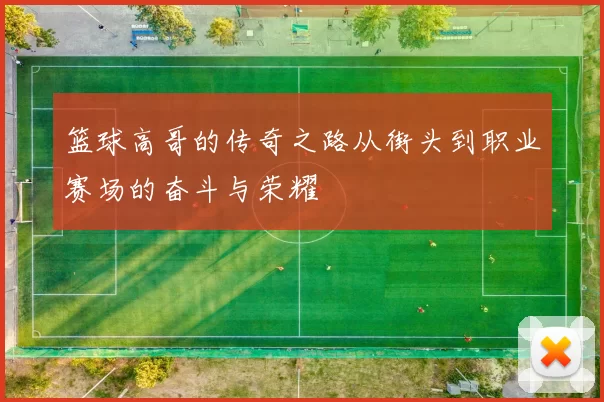 篮球高哥的传奇之路从街头到职业赛场的奋斗与荣耀